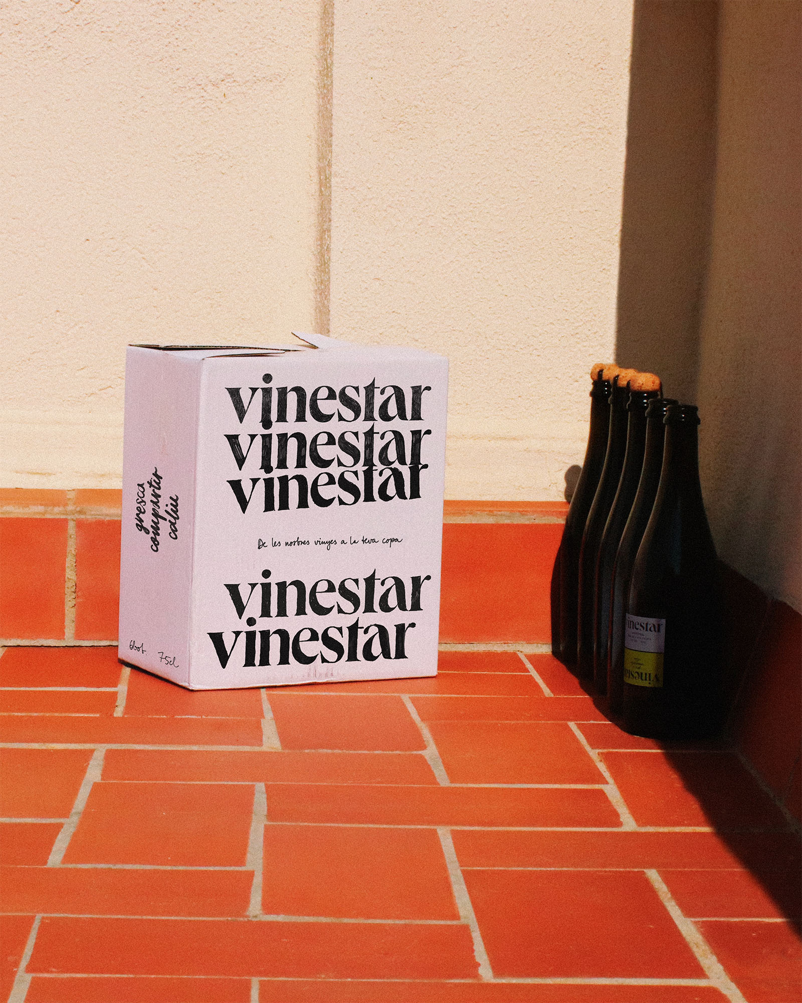 Diseño de la caja de 6 botellas del elaborador de vino en Penedès, Vinestar; por Carlos Galán Rubio